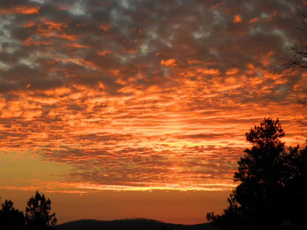 HC 70 Box 404, Boxley, AR 72740