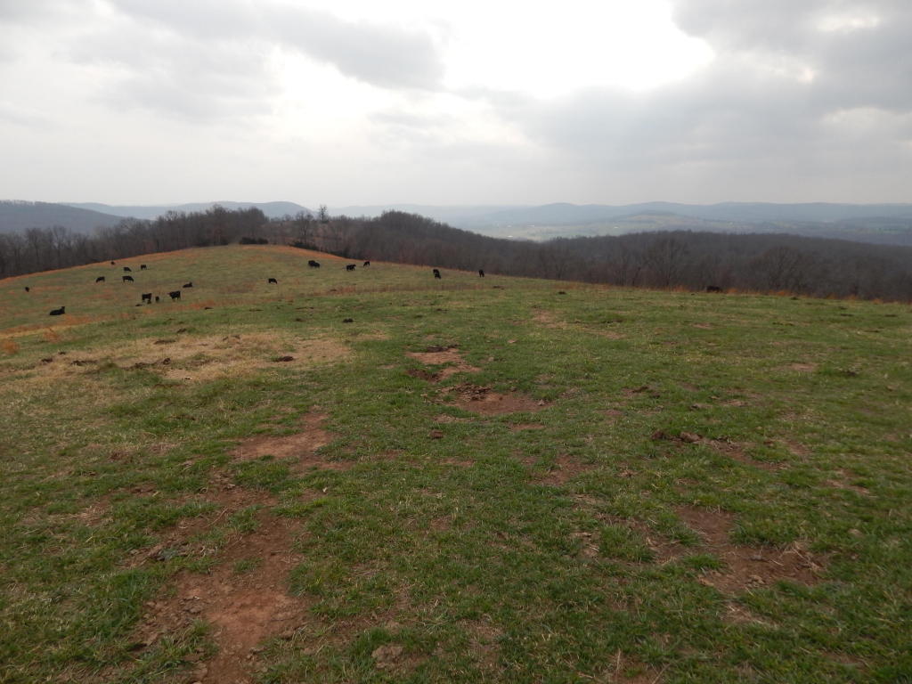 379 Madison 2551, Huntsville, AR 72740