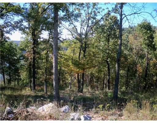 L10 Edens Bluff Dr, Lowell, AR 72745