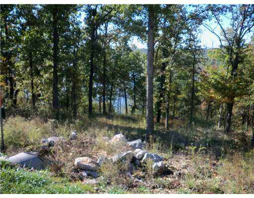 L10 Edens Bluff Dr, Lowell, AR 72745