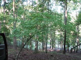 8066 K COVE, Rogers, AR 72756