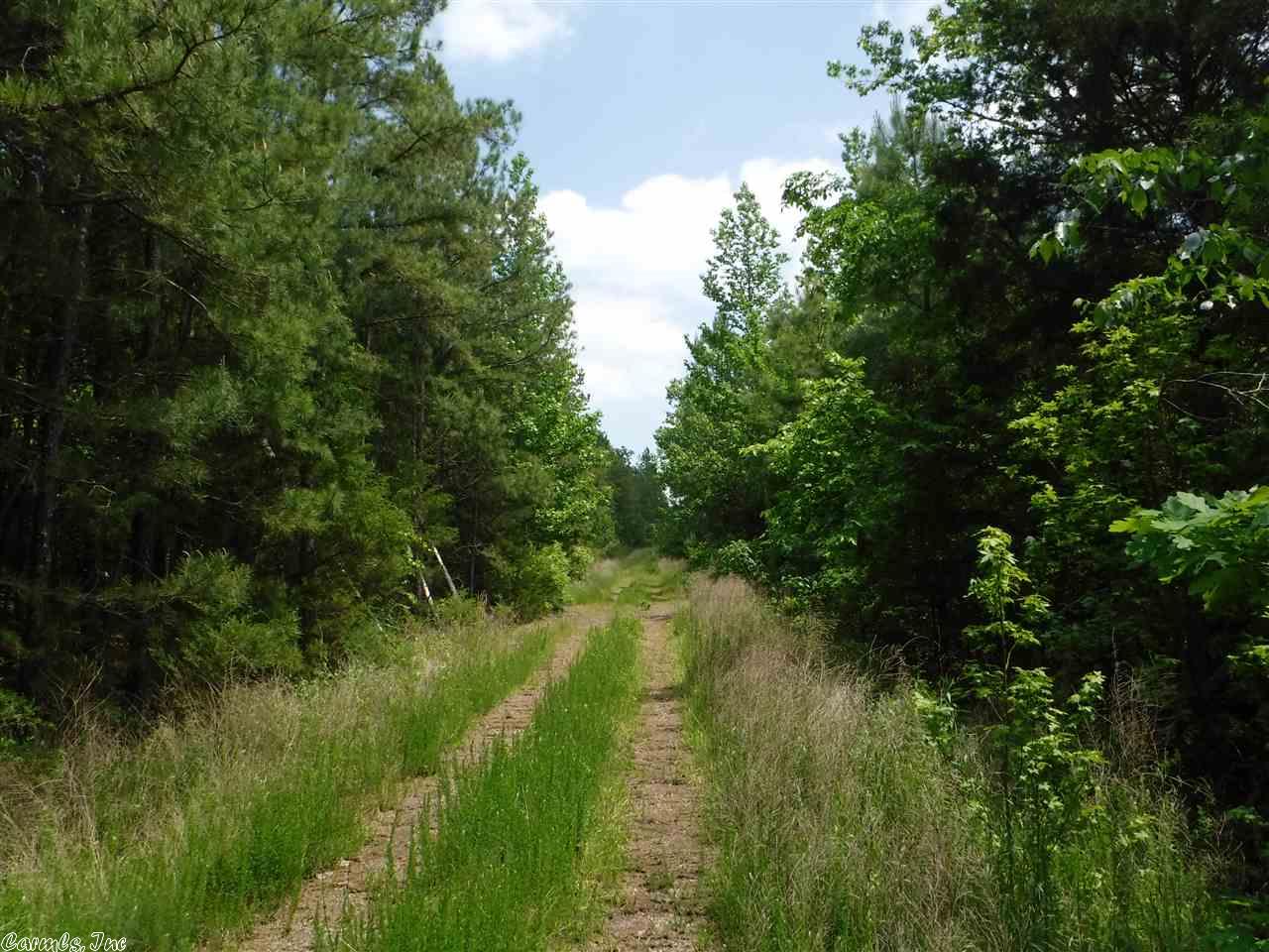 Russellville, AR 72801
