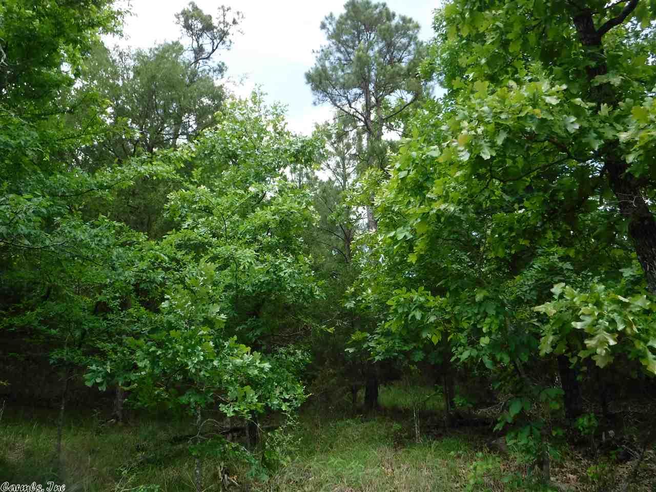 Russellville, AR 72801