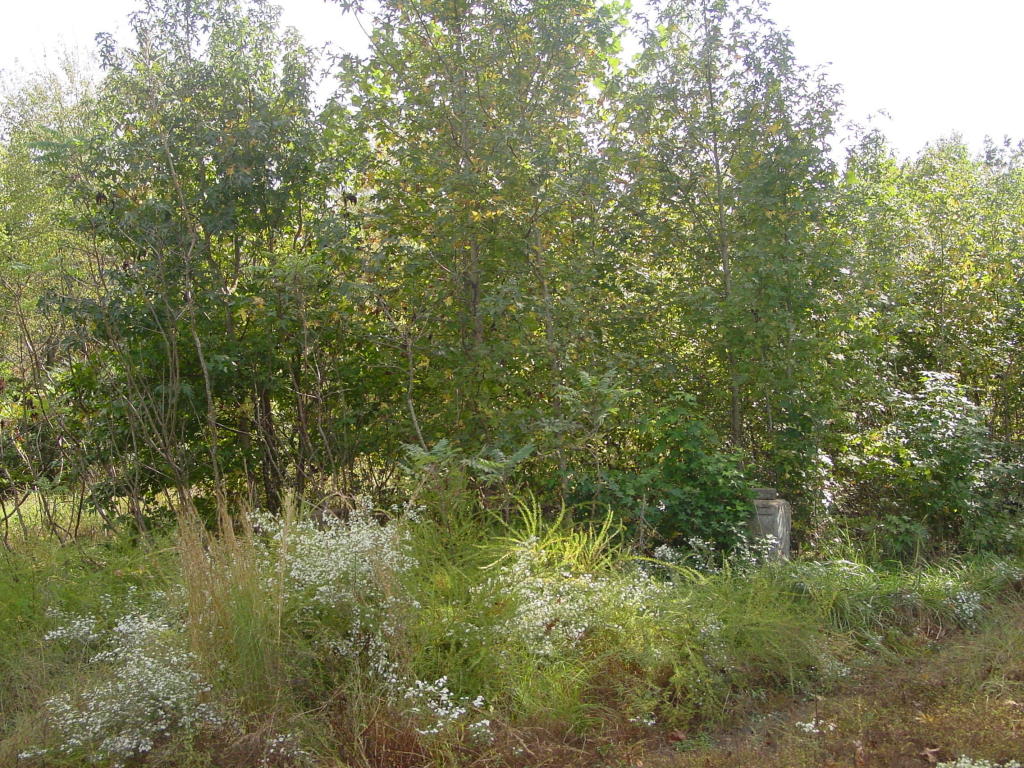 9257 SR 164E, Russellville, AR 72802