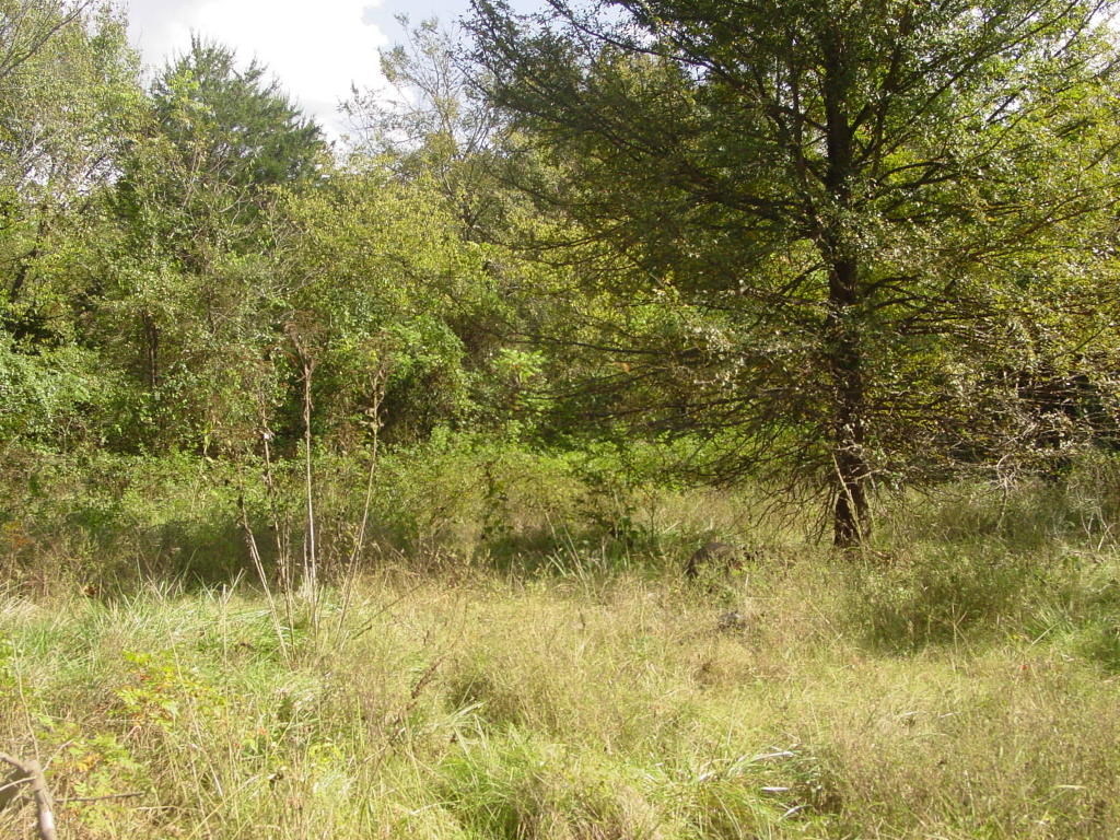 9257 SR 164E, Russellville, AR 72802