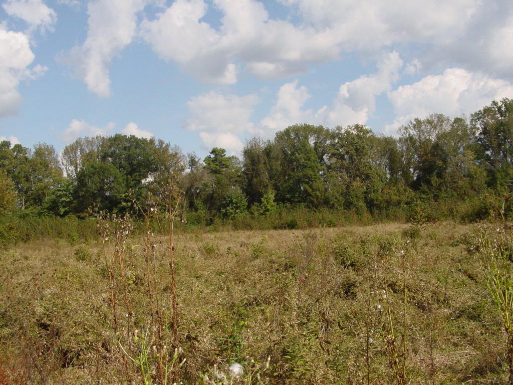 9257 SR 164E, Russellville, AR 72802