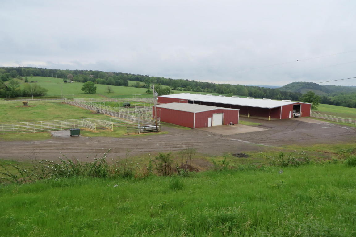 6 YELLOW ROCK, Russellville, AR 72802