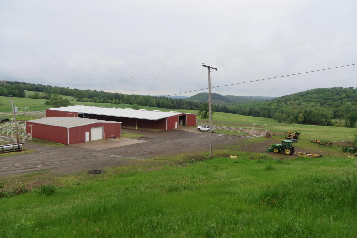 6 YELLOW ROCK, Russellville, AR 72802
