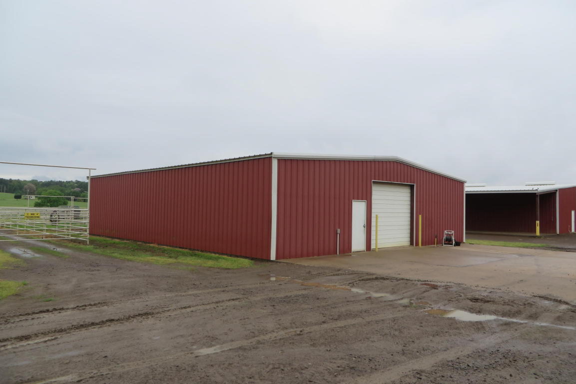 6 YELLOW ROCK, Russellville, AR 72802