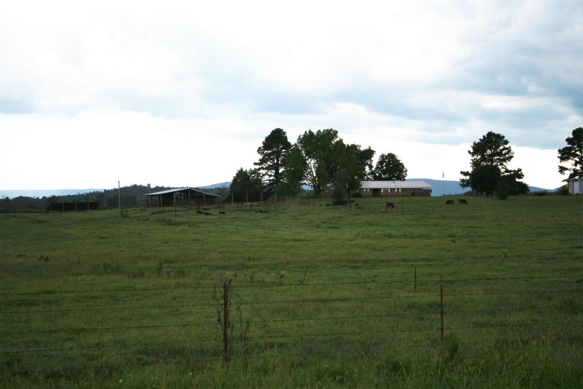 13142 Cedar Creek Road, Belleville, AR 72824