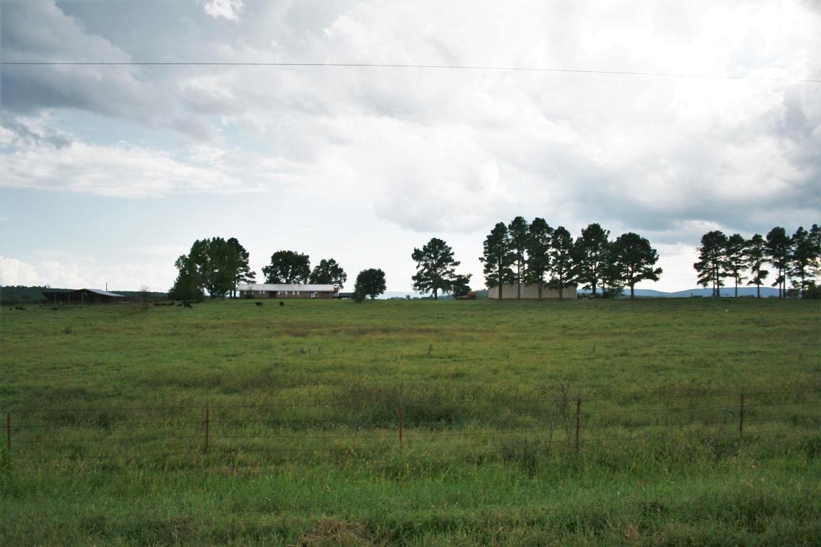13142 Cedar Creek Road, Belleville, AR 72824