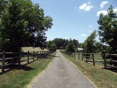 1301 N College Avenue, Clarksville, AR 72830