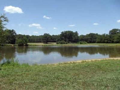 1301 N College Avenue, Clarksville, AR 72830