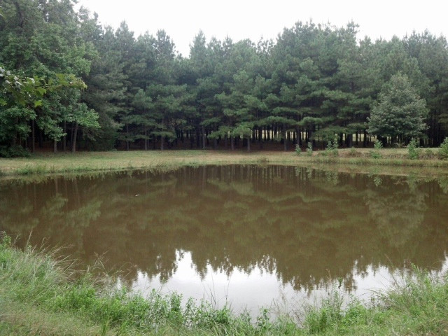 10776 Pin Oak Loop, Danville, AR 72833