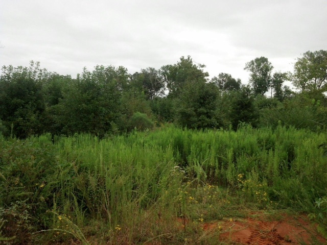 10776 Pin Oak Loop, Danville, AR 72833