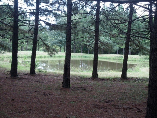 10776 Pin Oak Loop, Danville, AR 72833