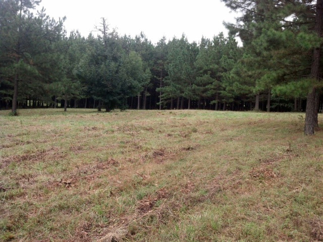 10776 Pin Oak Loop, Danville, AR 72833