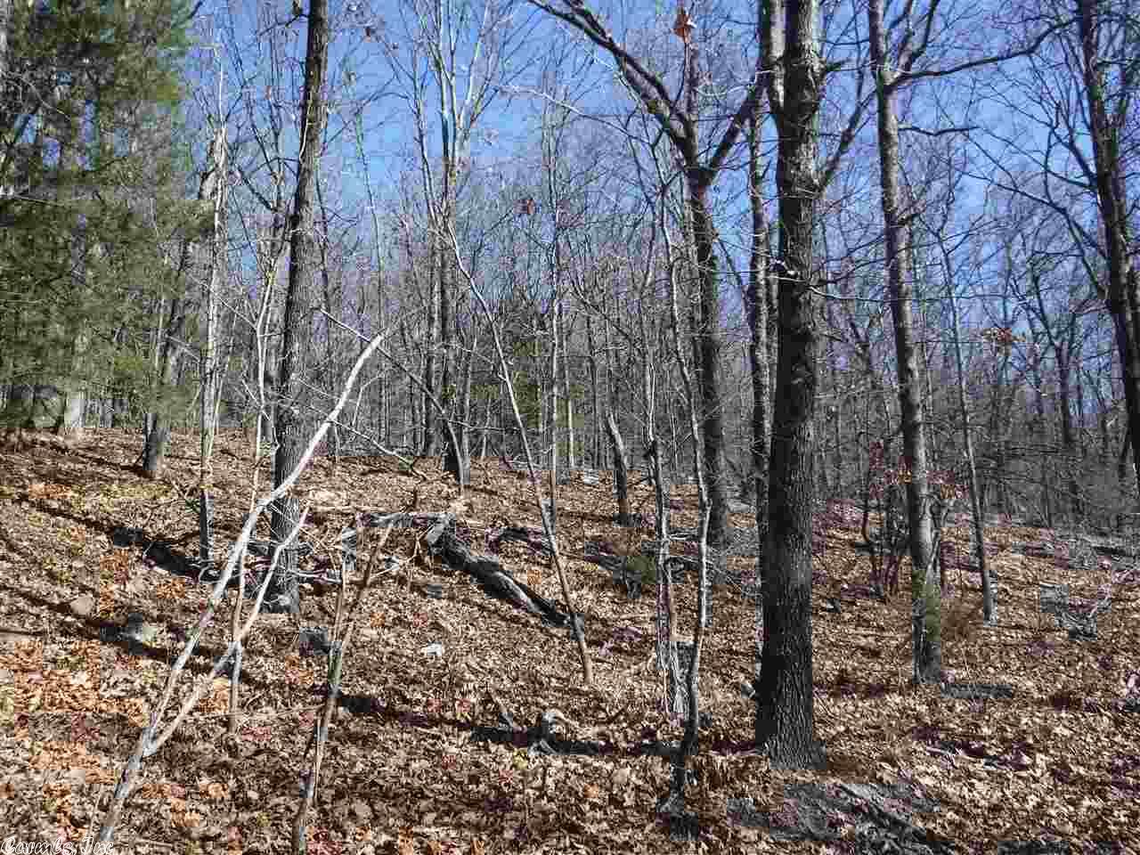 Hunt, AR 72840