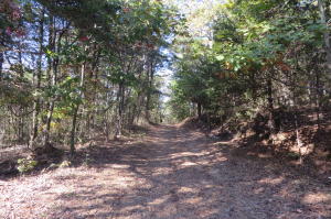 W Highway 64, London, AR 72853