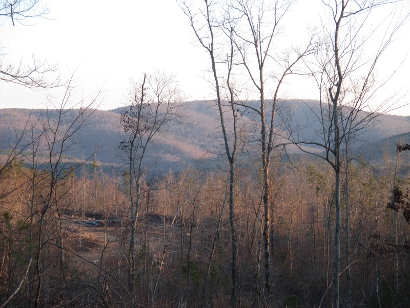 Forest Service Rd. 94353A, Ozone, AR 72854
