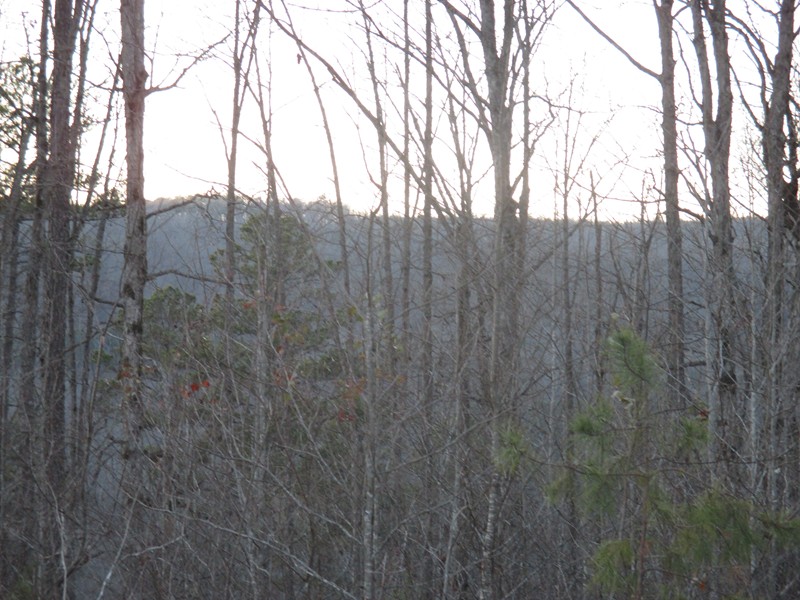 Forest Service Rd. 94353A, Ozone, AR 72854