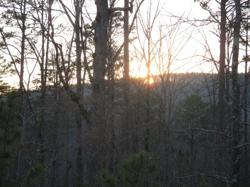 Forest Service Rd. 94353A, Ozone, AR 72854