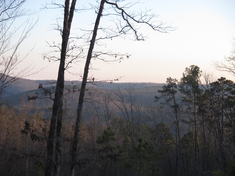 Forest Service Rd. 94353A, Ozone, AR 72854