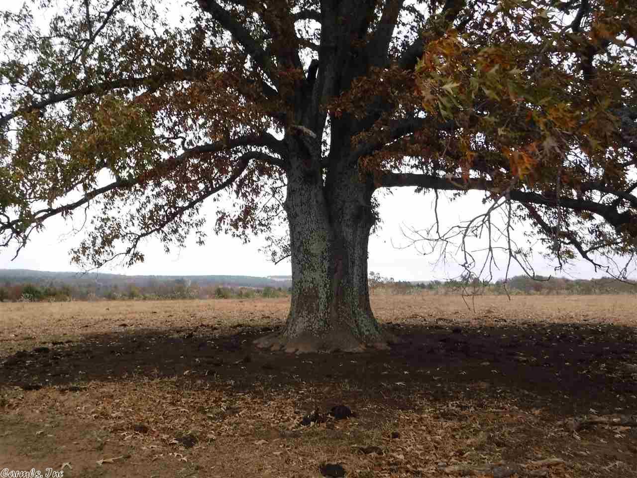 Sandstone Ridge Rd, Charleston, AR 72933