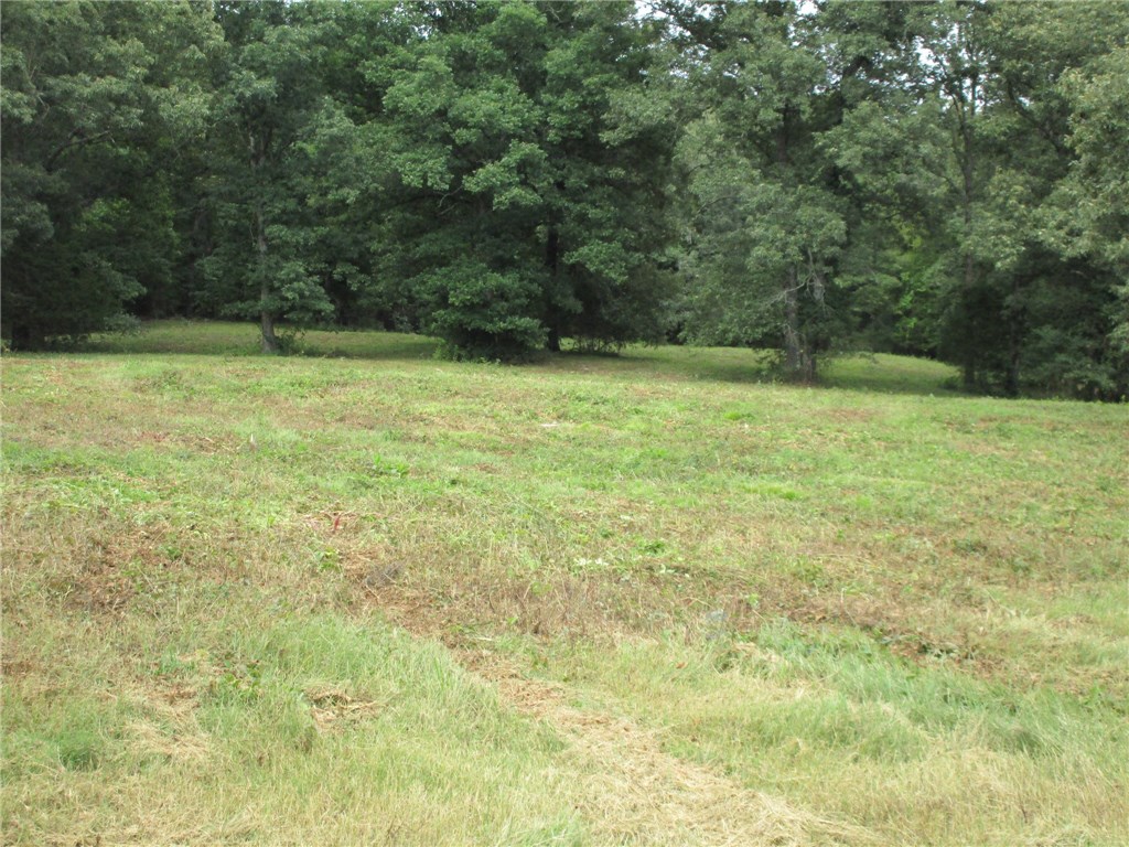 TBD Mill PondRD, Rudy, AR 72952