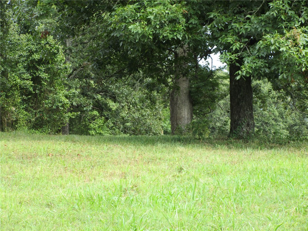 TBD Mill PondRD, Rudy, AR 72952
