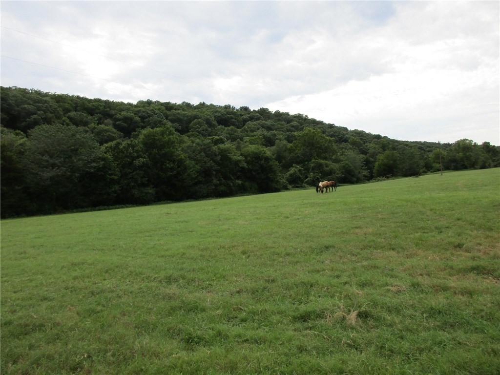 TBD Mill PondRD, Rudy, AR 72952