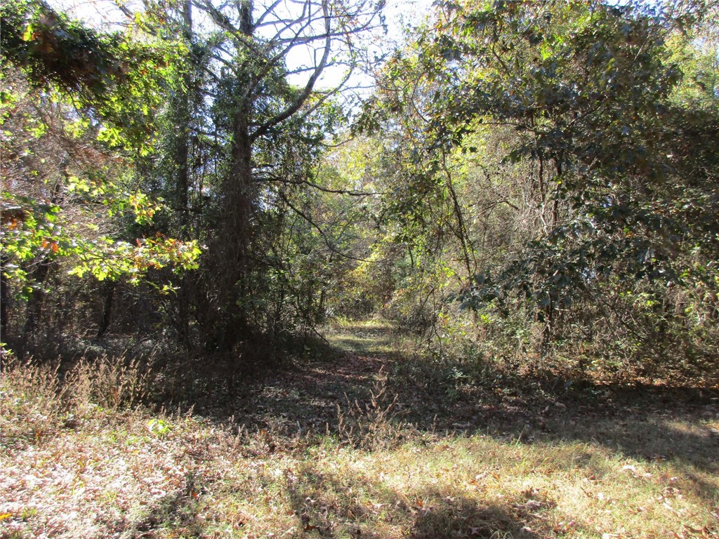 TBDS GraphicRD, Alma, AR 72956