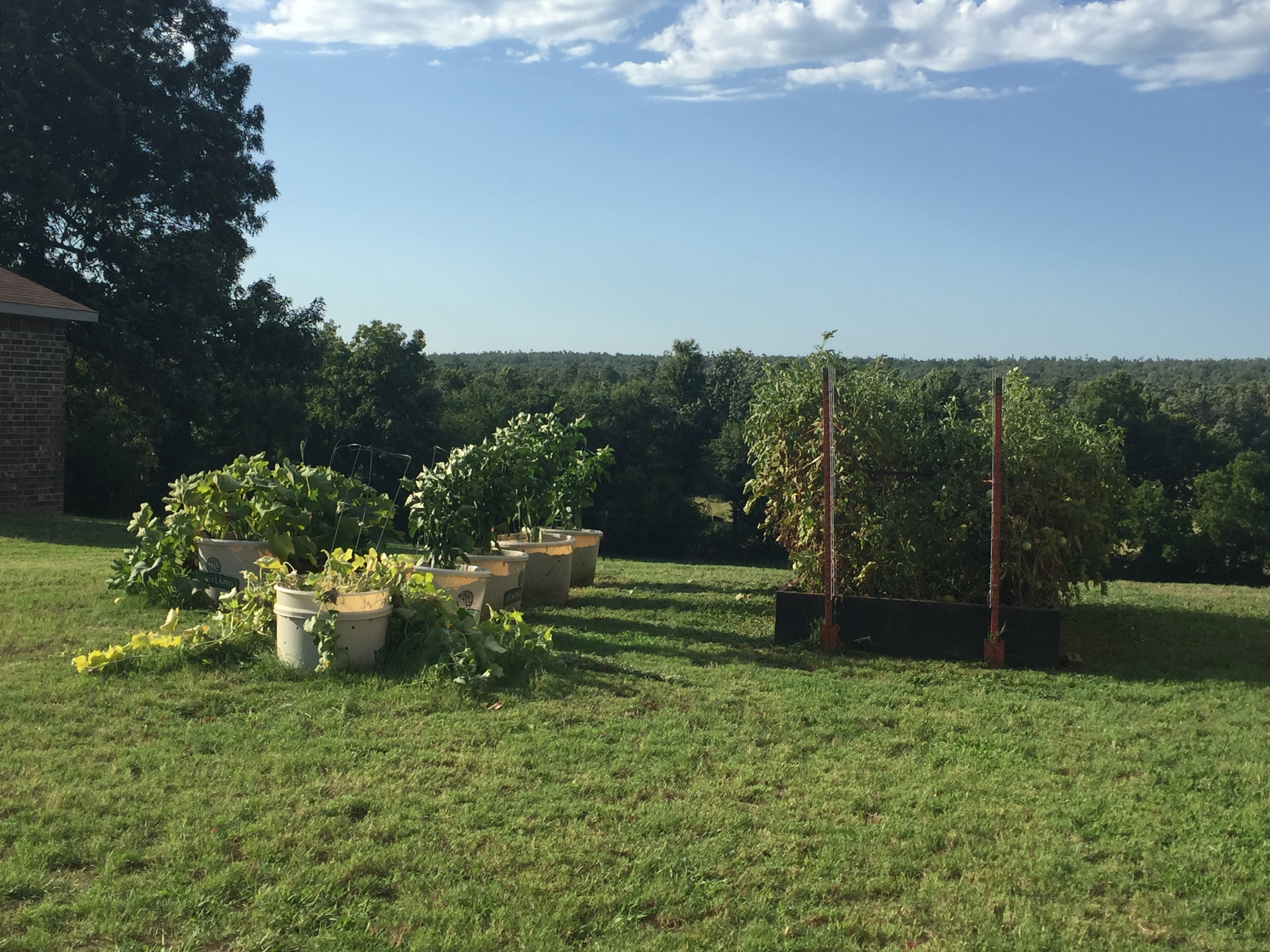 2072 Link Rd, Waldron, AR 72958
