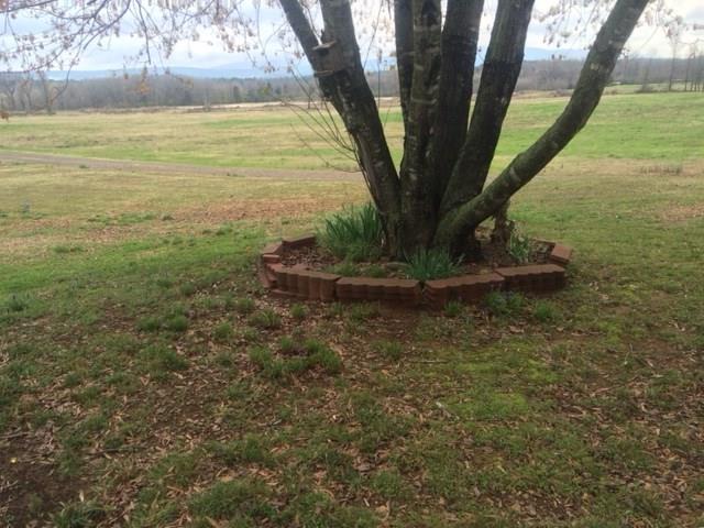 2108 DOVE CREEKRD, Waldron, AR 72958