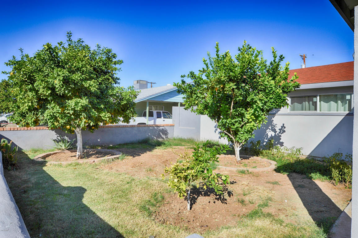 3738 W MULBERRY Drive, Phoenix, AZ 85019