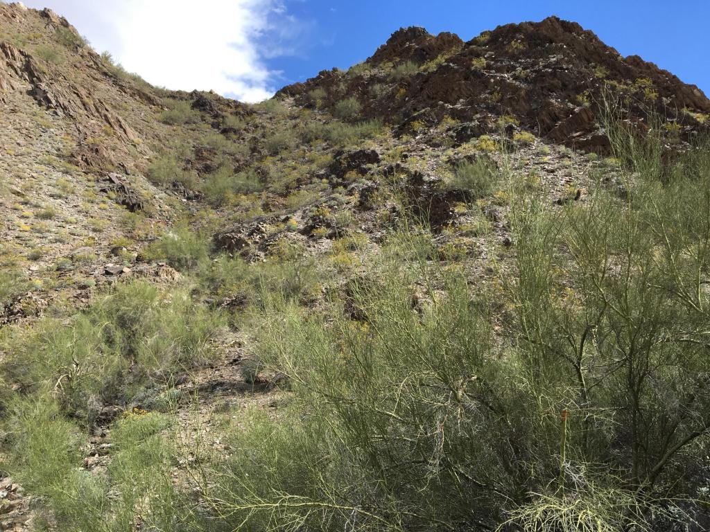 1860 E Cinnabar Avenue, Phoenix, AZ 85020