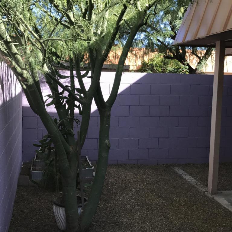 7757 N 19TH Avenue, Phoenix, AZ 85021