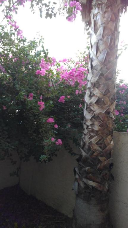 2311 E Hartford #9, Phoenix, AZ 85022
