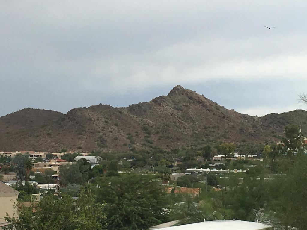 13226 N 18TH Place, Phoenix, AZ 85022