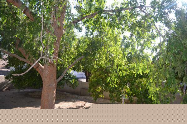 3901 E. PINNACLE PEAK RD, #207