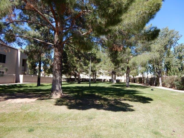 3316 104 E Aire Libre AvePhoenix, AZ, 85032Maricopa County