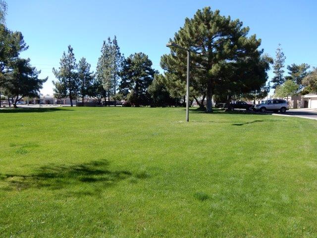 3316 104 E Aire Libre AvePhoenix, AZ, 85032Maricopa County