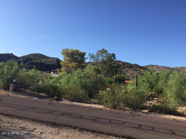 1718 E BETH Drive, Phoenix, AZ 85042