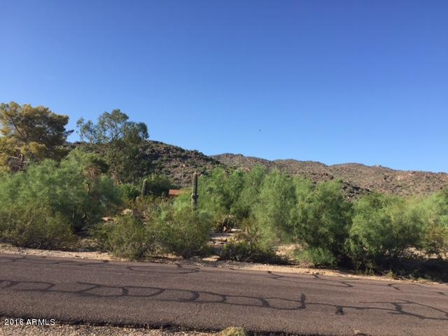 1718 E BETH Drive, Phoenix, AZ 85042