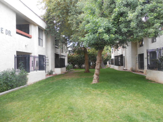 3119 W Cochise Dr #113Phoenix, AZ, 85051Maricopa County