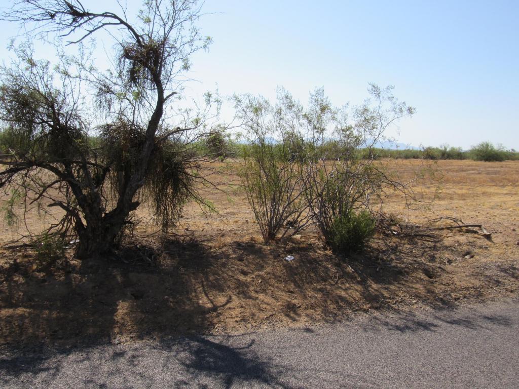 337XX N 14th Street, Phoenix, AZ 85085