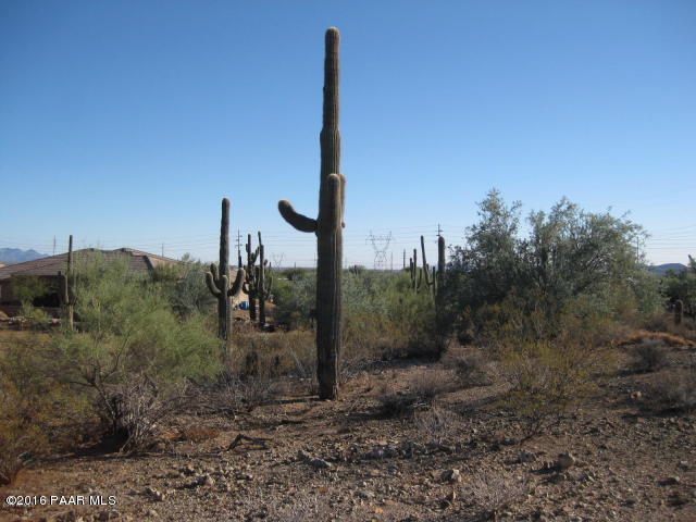 1115 E Arroyo Road, Phoenix, AZ 85086