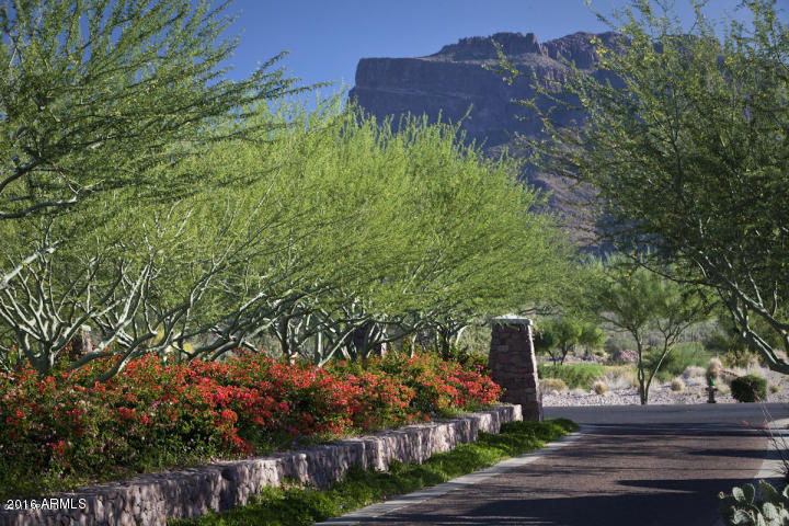 3435 S SYCAMORE VILLAGE Drive, Gold Canyon, AZ 85118