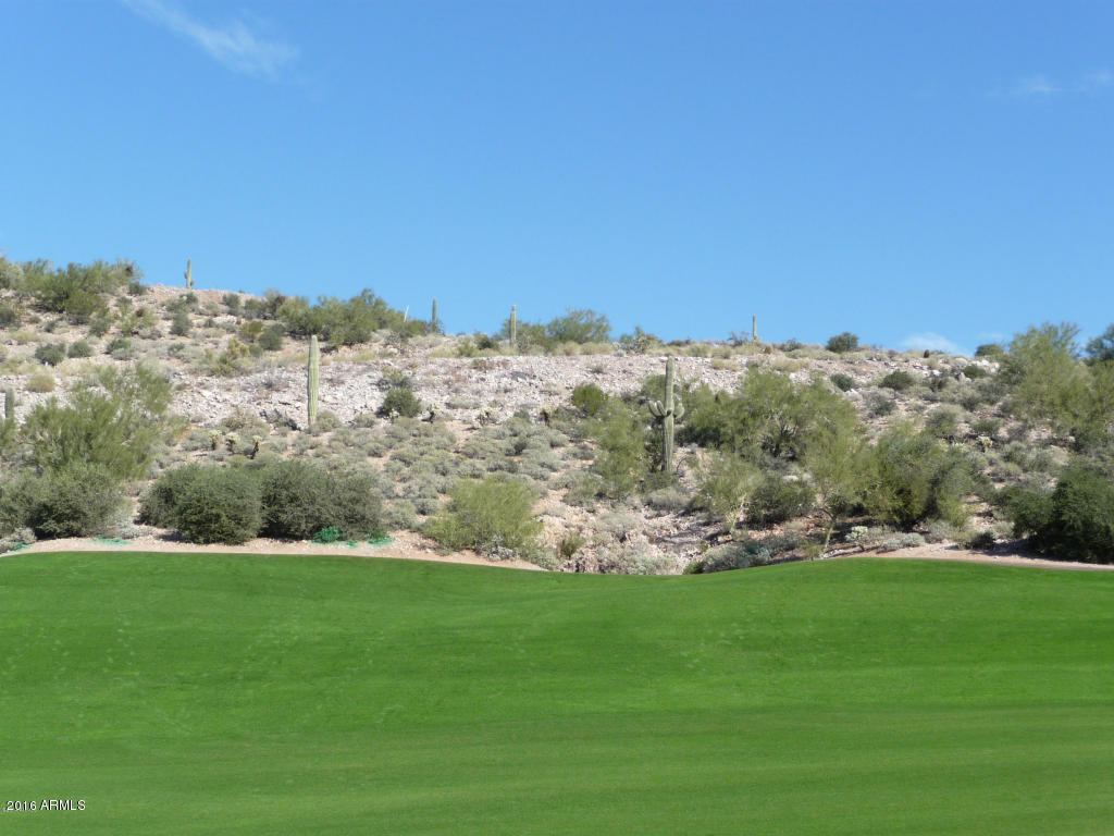 9285 E Avenida Fiebre De Oro Road, Gold Canyon, AZ 85118