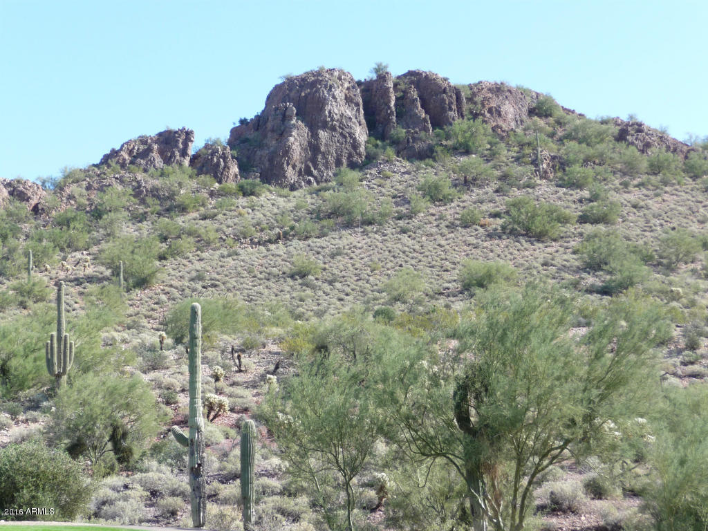 9285 E Avenida Fiebre De Oro Road, Gold Canyon, AZ 85118